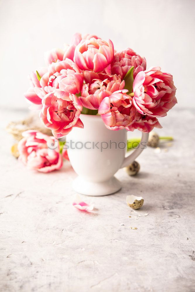 Similar – Image, Stock Photo Female hand holds bottle with pink lotion and flowers