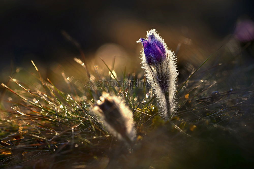 Similar – Foto Bild am Boden Farbfoto