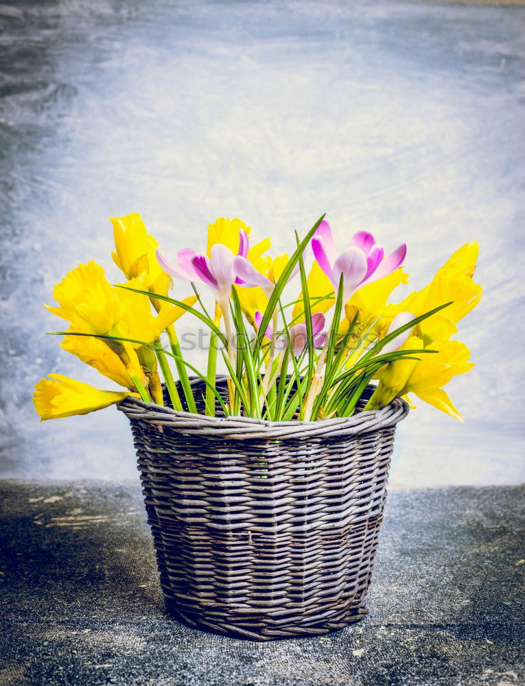 Similar – Old and dirty boots filled with flowers