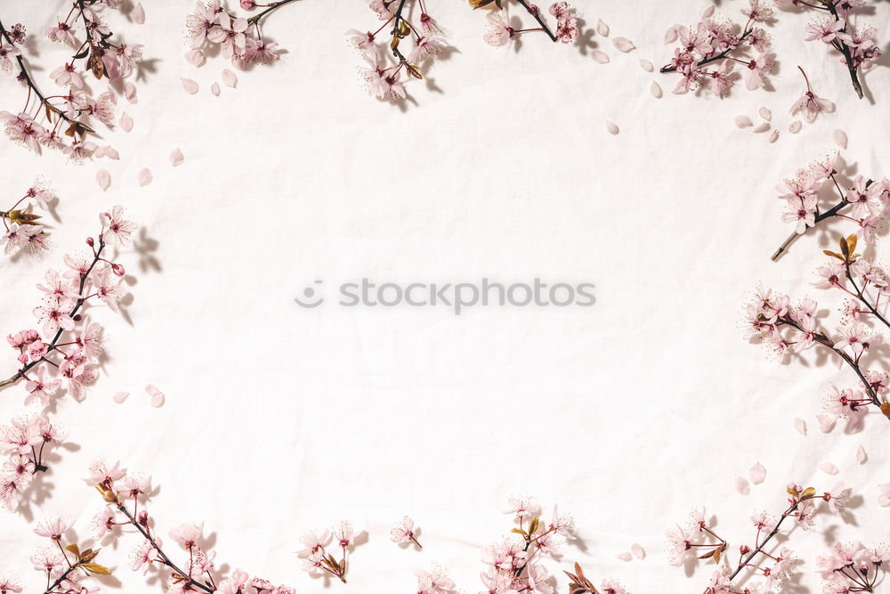 Similar – Image, Stock Photo spring on silver