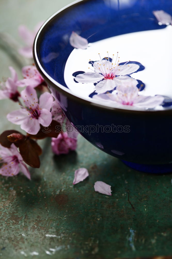 Blue bowl with pink flowers and water