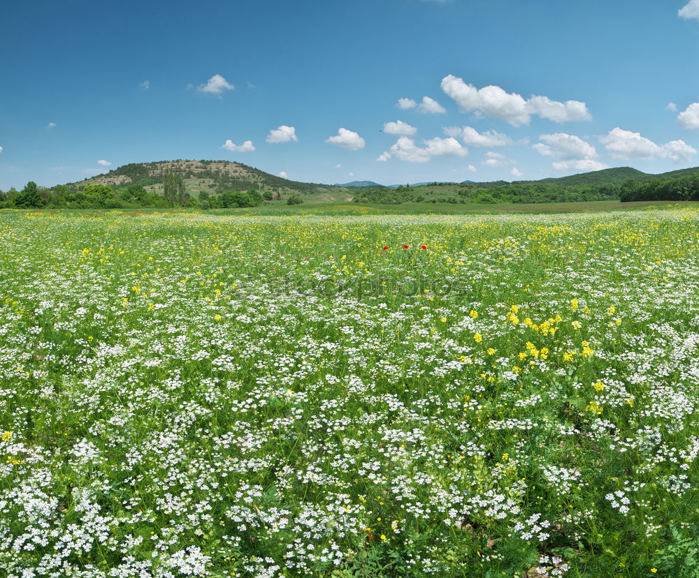 Similar – Foto Bild zwölf Millimeter Umwelt