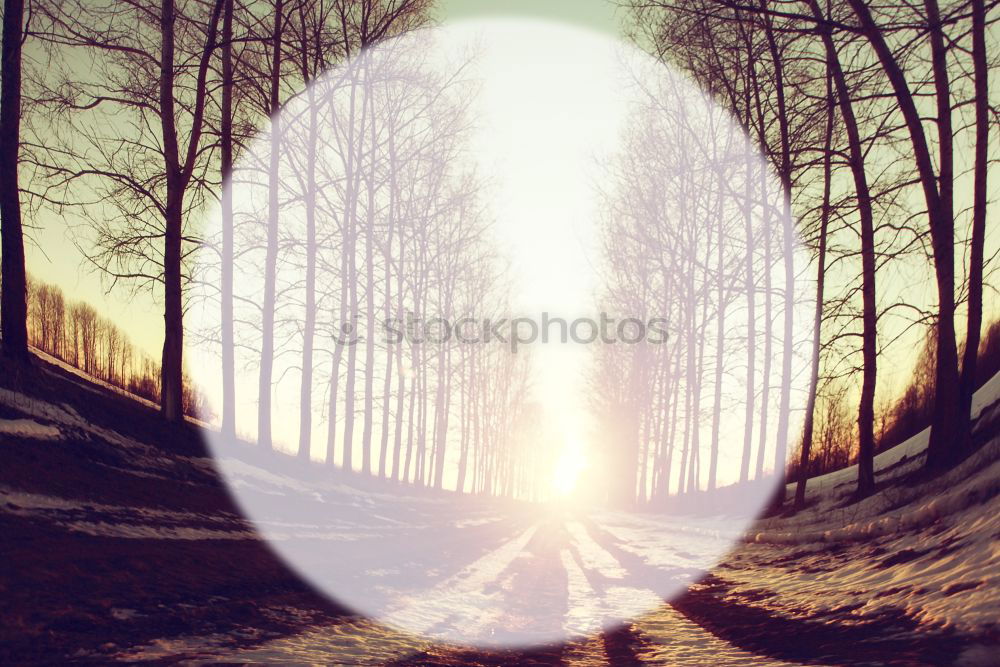 Similar – Image, Stock Photo evening mood Winter White