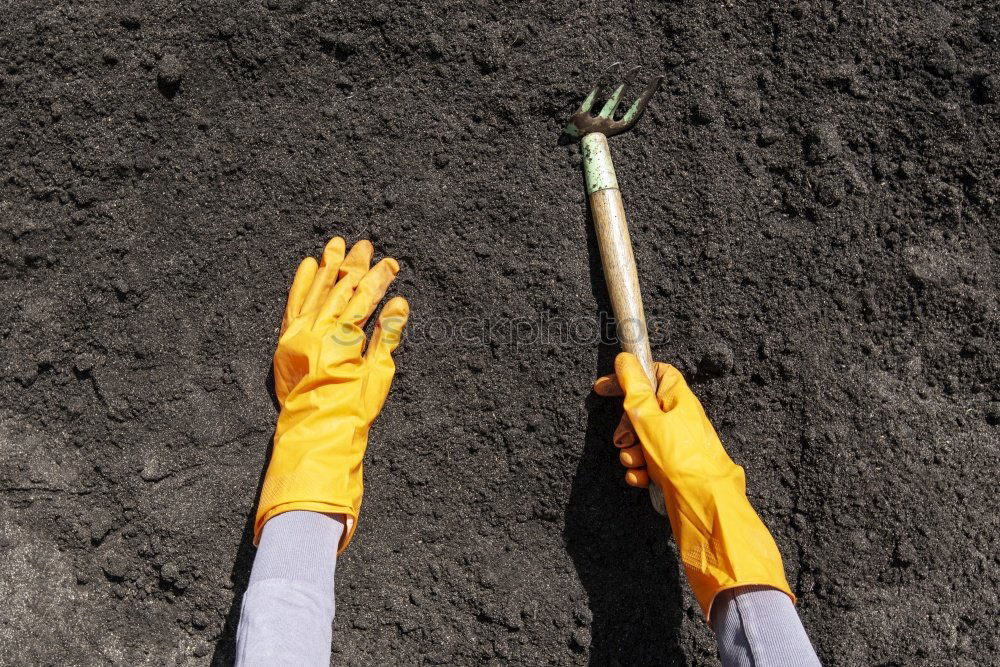 Similar – Image, Stock Photo My Life is The Coal Art