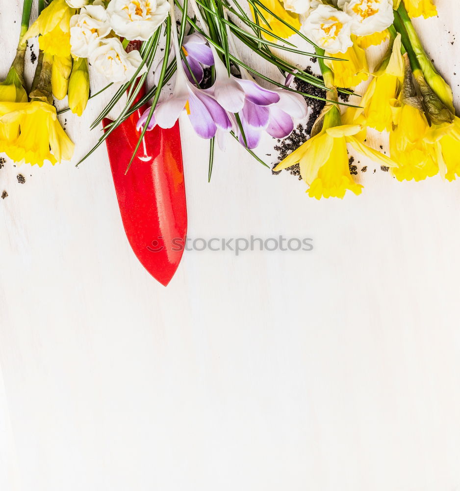 Similar – Gardening with flowers and shovel