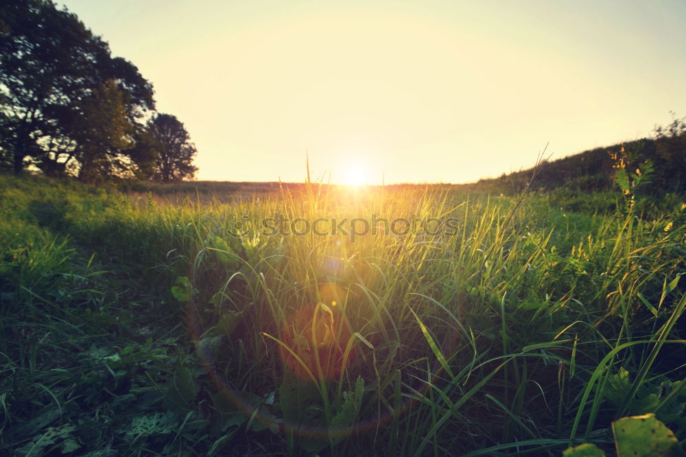 Similar – Image, Stock Photo Sunset Mountains and Fields