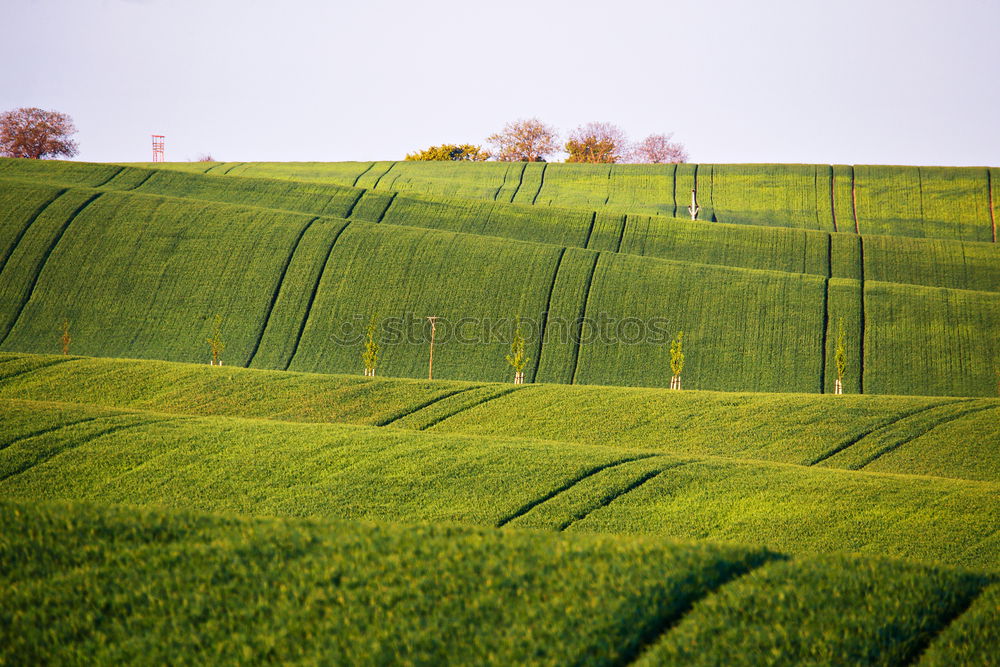 Similar – field away Field Footpath