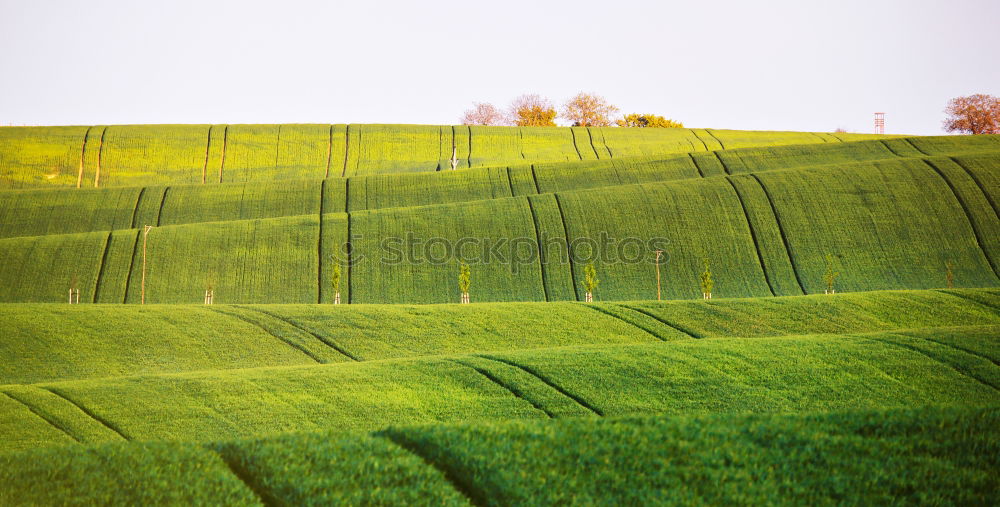 Similar – Misty hill Hill Fog Green