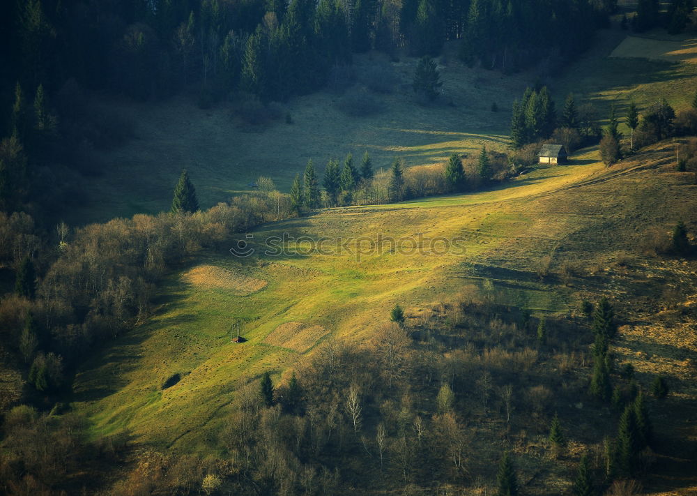 Similar – Curved serpentine road trough fall forest and village.