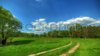 Similar – Image, Stock Photo track marshal Tree Autumn