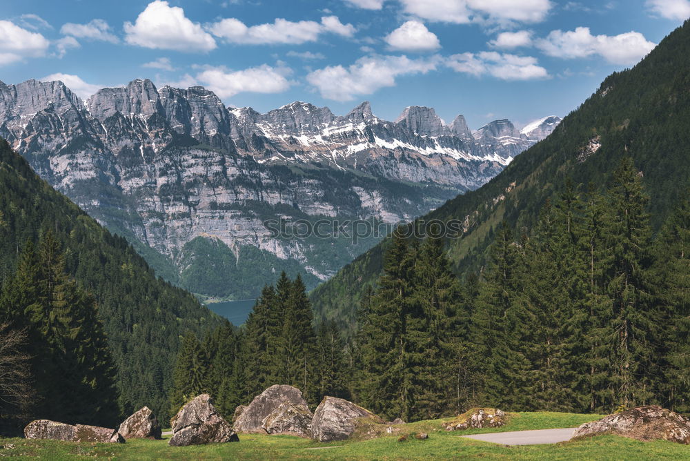 Mountain peaks with green forest and rocks in Swiss Alps