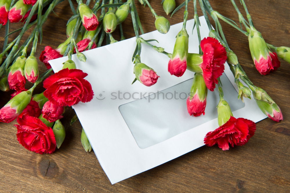 Similar – Image, Stock Photo Holding flowers with hands