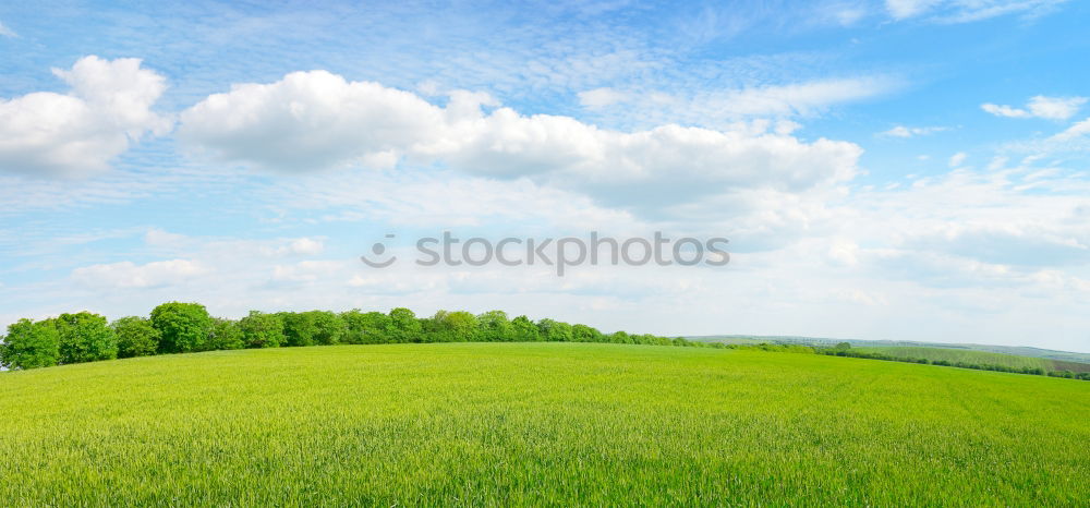 Similar – Pear tree in a meadow with Swabian Alb in the background