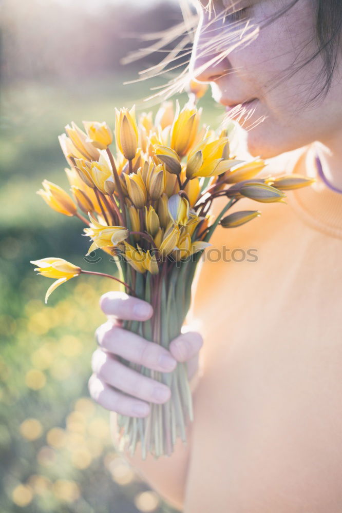 Similar – Spring flowers on lap