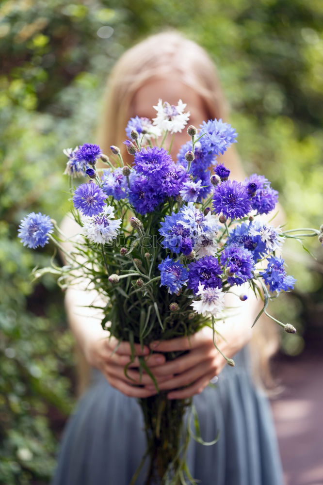 Similar – Spring flowers on lap