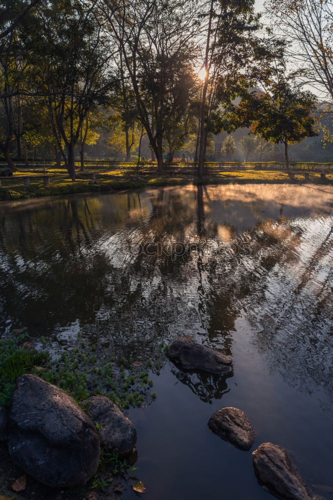 Similar – Image, Stock Photo summer day Environment