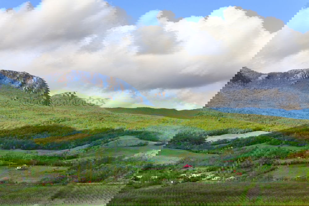 Similar – Image, Stock Photo Mori Nature Landscape