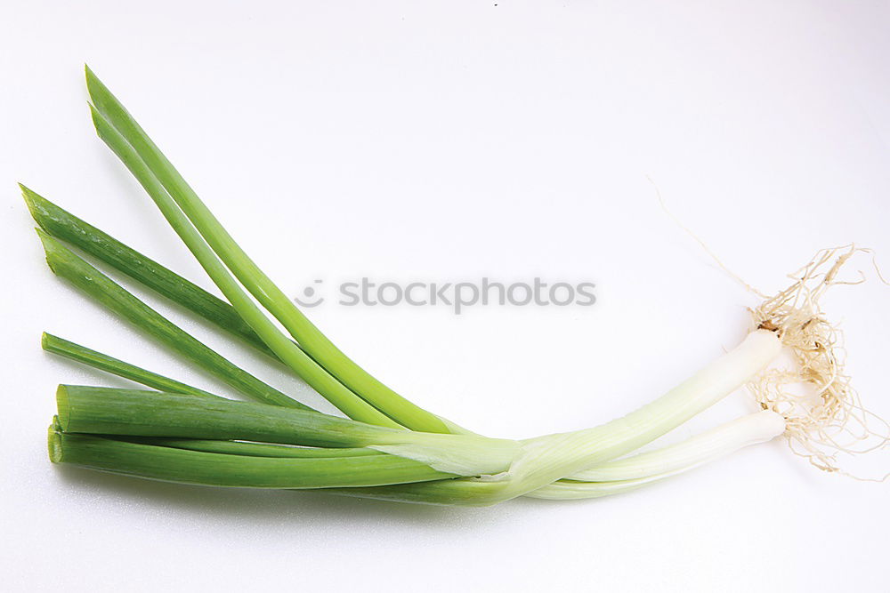 Similar – Image, Stock Photo bunch spring onions Food