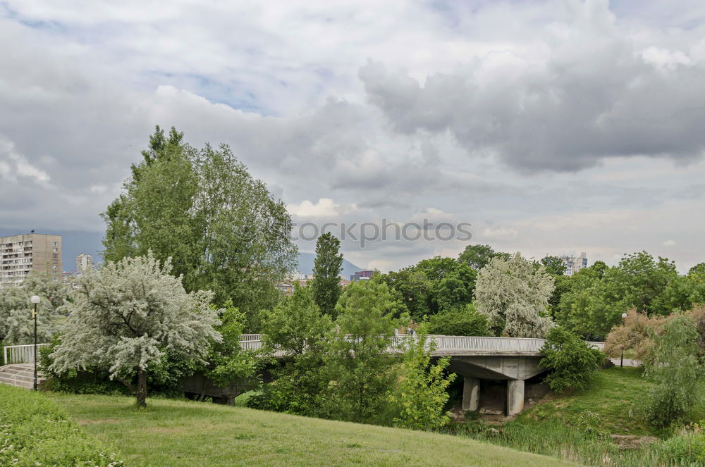 Similar – cow pasture Meadow Green