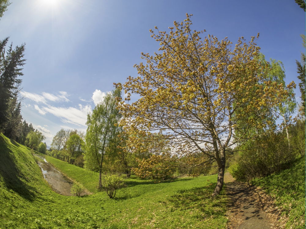 Similar – Image, Stock Photo Golf GC Salzburg Sports