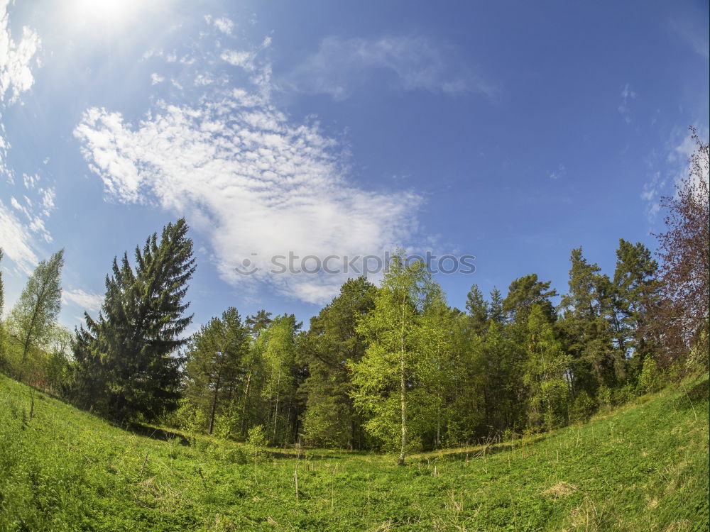 Similar – blau. weiß. grün. Umwelt