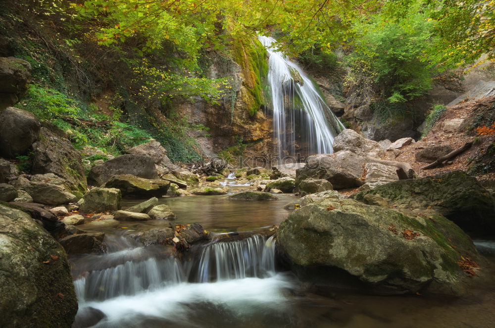 Similar – Image, Stock Photo nature 1.1 Water