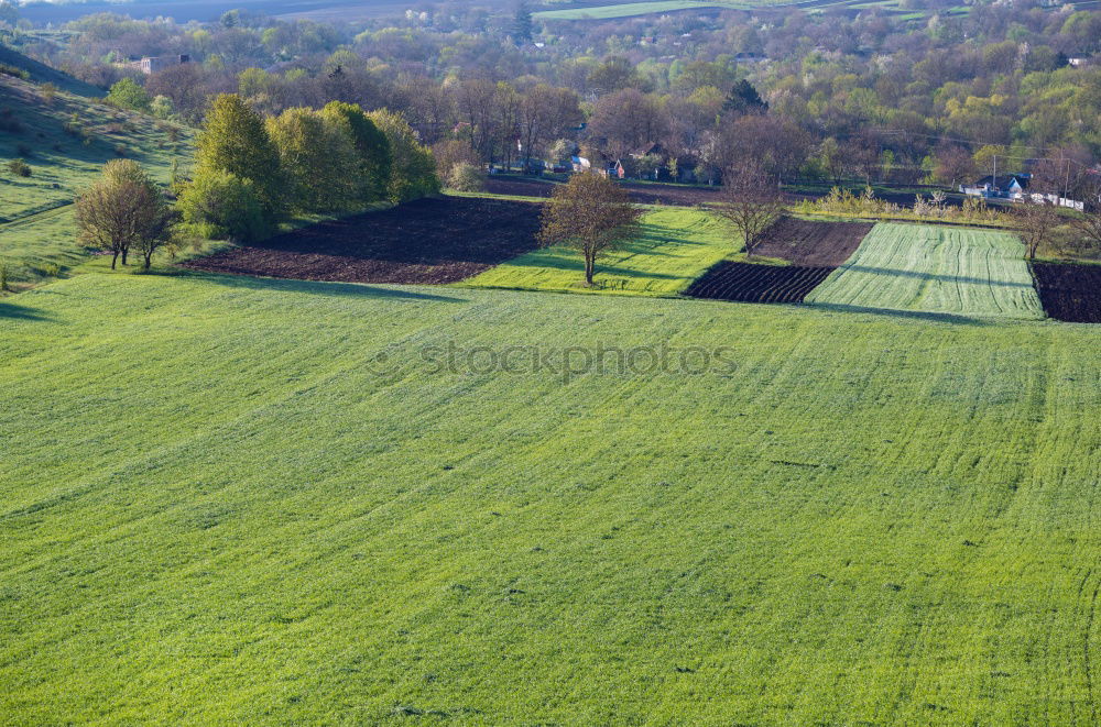 Similar – Foto Bild T Umwelt Natur Landschaft