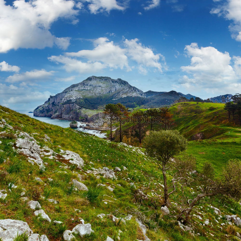 Similar – Image, Stock Photo Eagle’s Nest Landscape