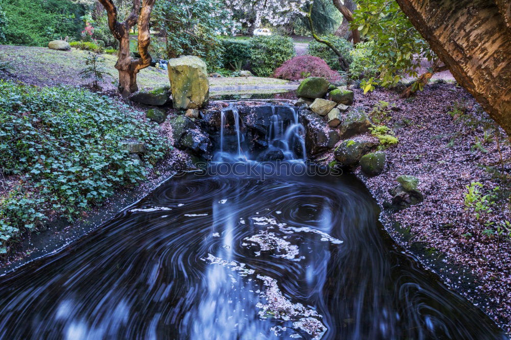 Similar – Woman sitting on a stone bridge in Dartmoor, England