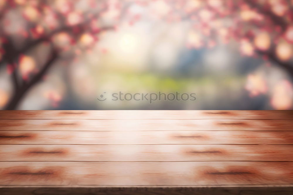 Image, Stock Photo hug Beautiful Environment