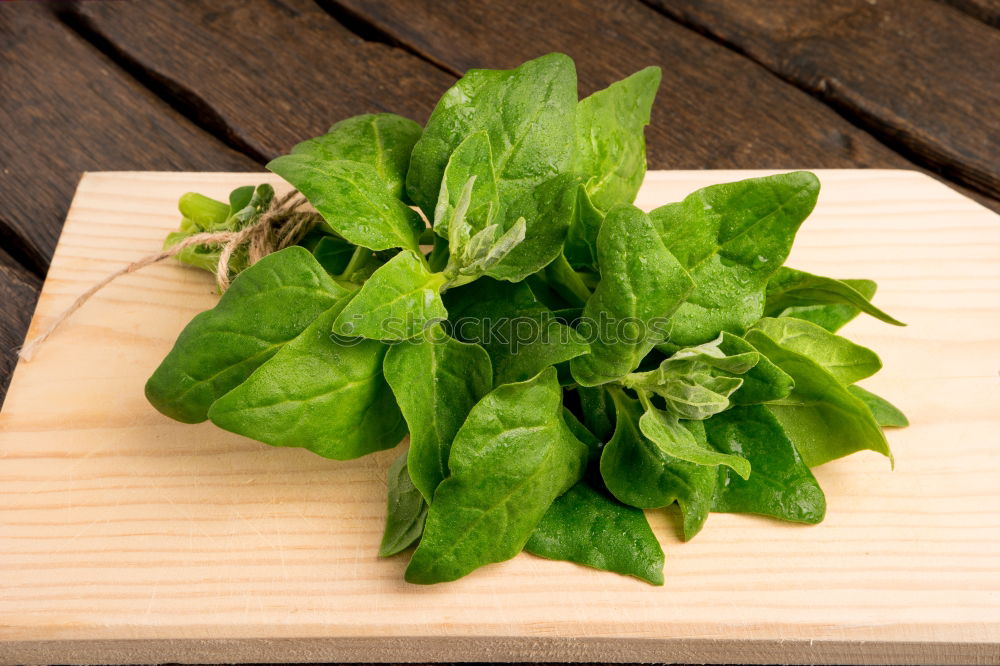 Similar – Image, Stock Photo Organic lamb’s lettuce