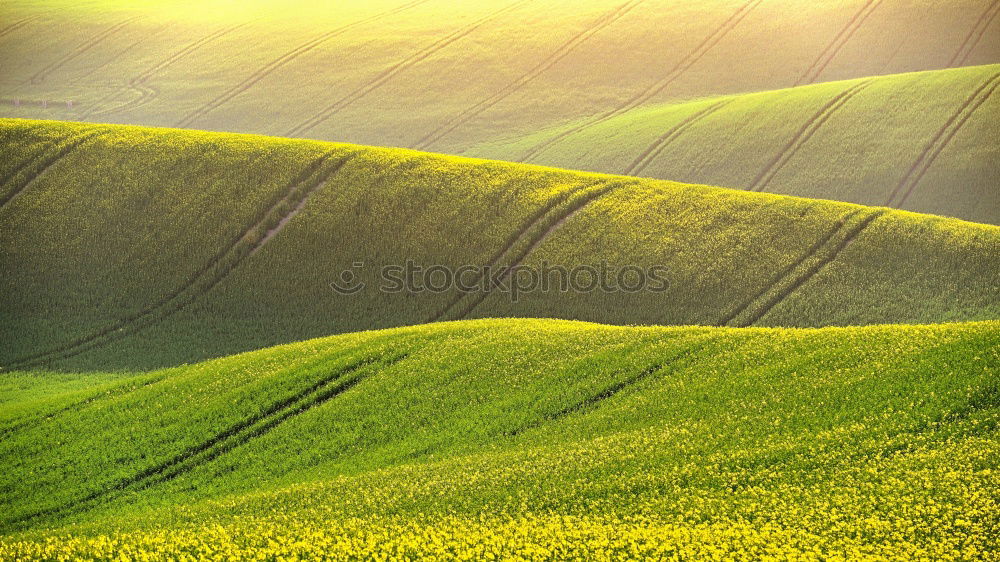 Similar – Foto Bild Mongolei harmonisch