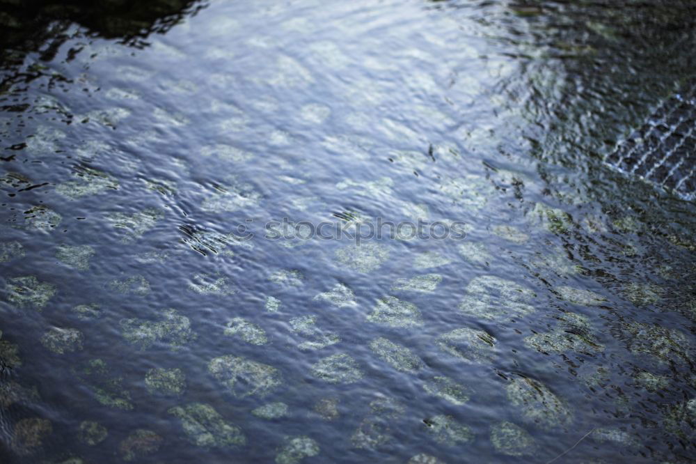 Similar – rainy day Rain Puddle