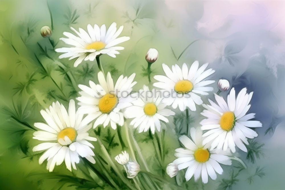 Similar – Sun Flower Yellow White