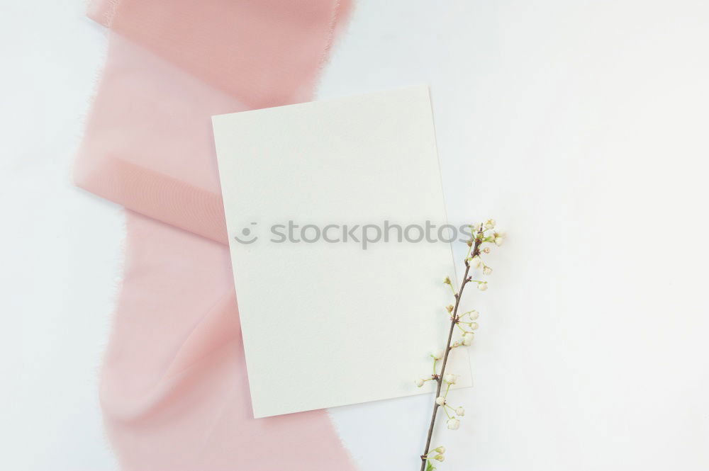 Similar – Composition of pink accessories to female holidays: Mothers day , Womens day, birthday or wedding. Paper shopping bag with flowers,paper, party fan and ribbon on white background, top view