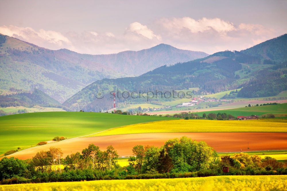 Similar – Image, Stock Photo Spring storm in mountains panorama. Dandelion meadow.