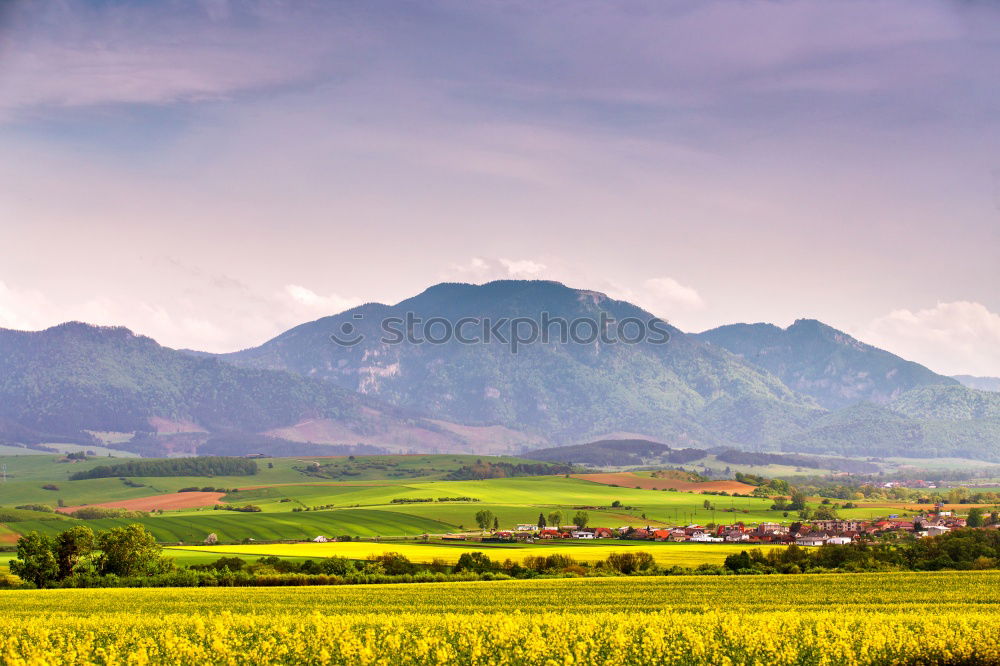 Similar – Image, Stock Photo Spring storm in mountains panorama. Dandelion meadow.