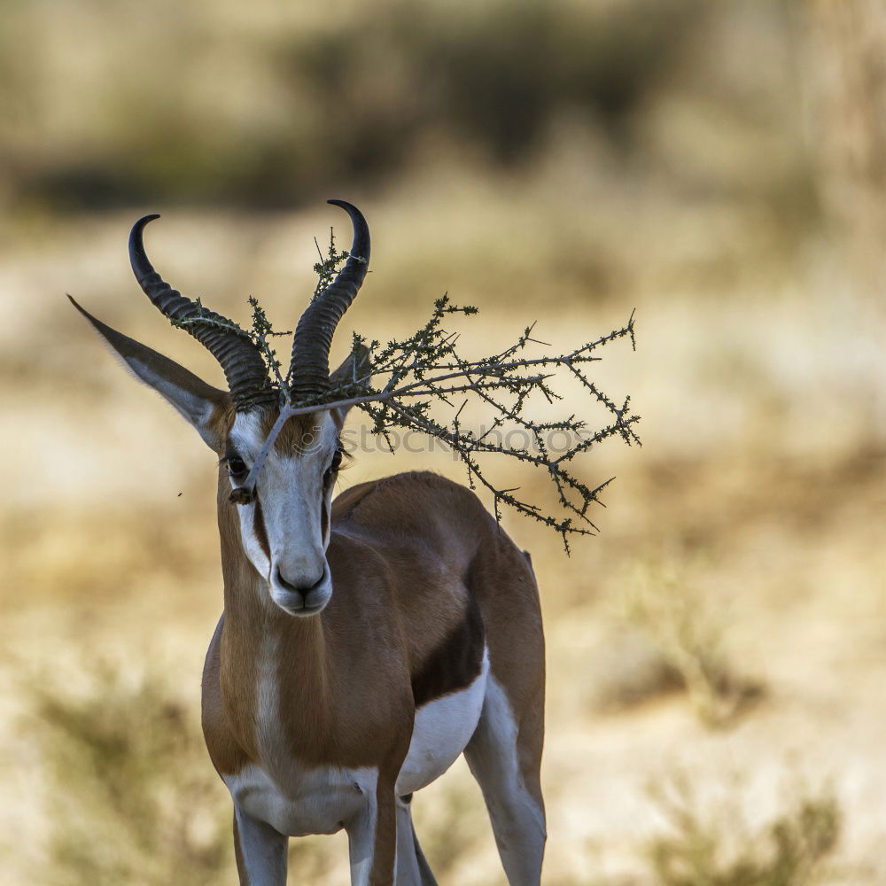 Similar – Image, Stock Photo What to watch Environment