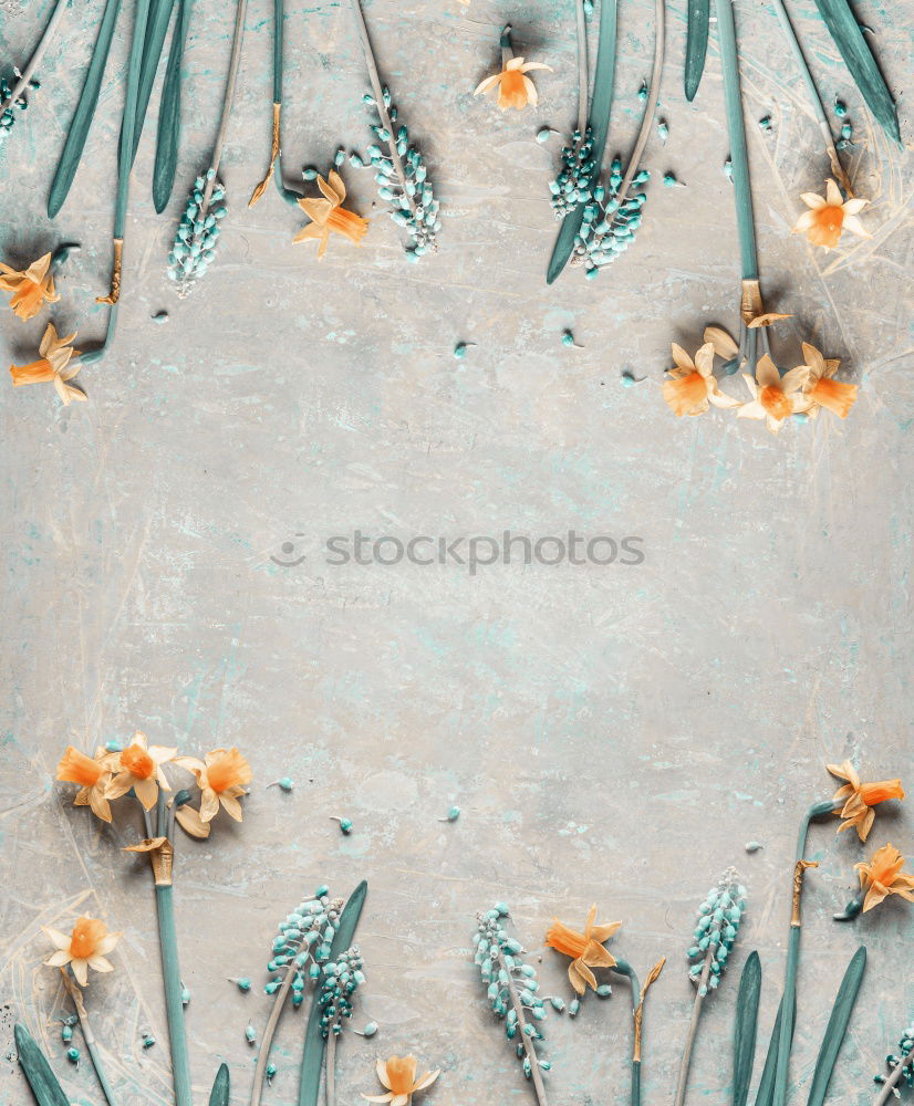 Similar – Image, Stock Photo Bowl with blue bath salt, shovel and flowers.