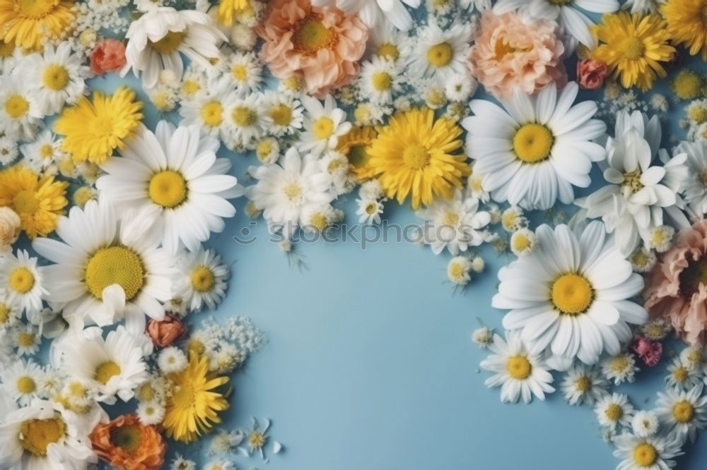 Image, Stock Photo Autumn Flowers Decoration Make