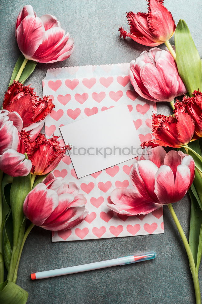 Similar – Image, Stock Photo Greeting card for spring festivals with pretty tulips