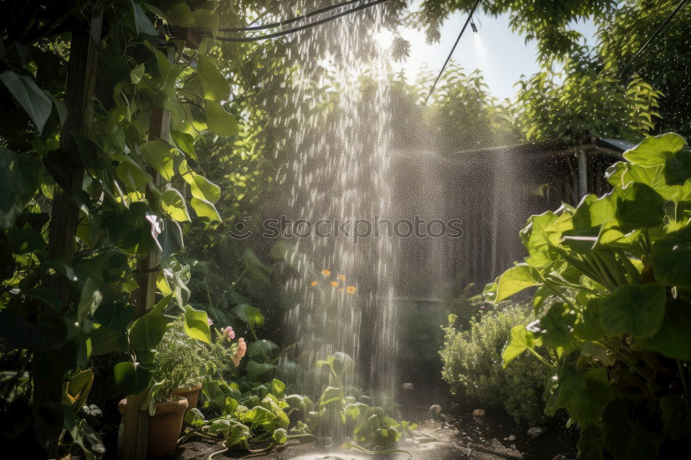 Similar – Im Brunnen Umwelt Natur