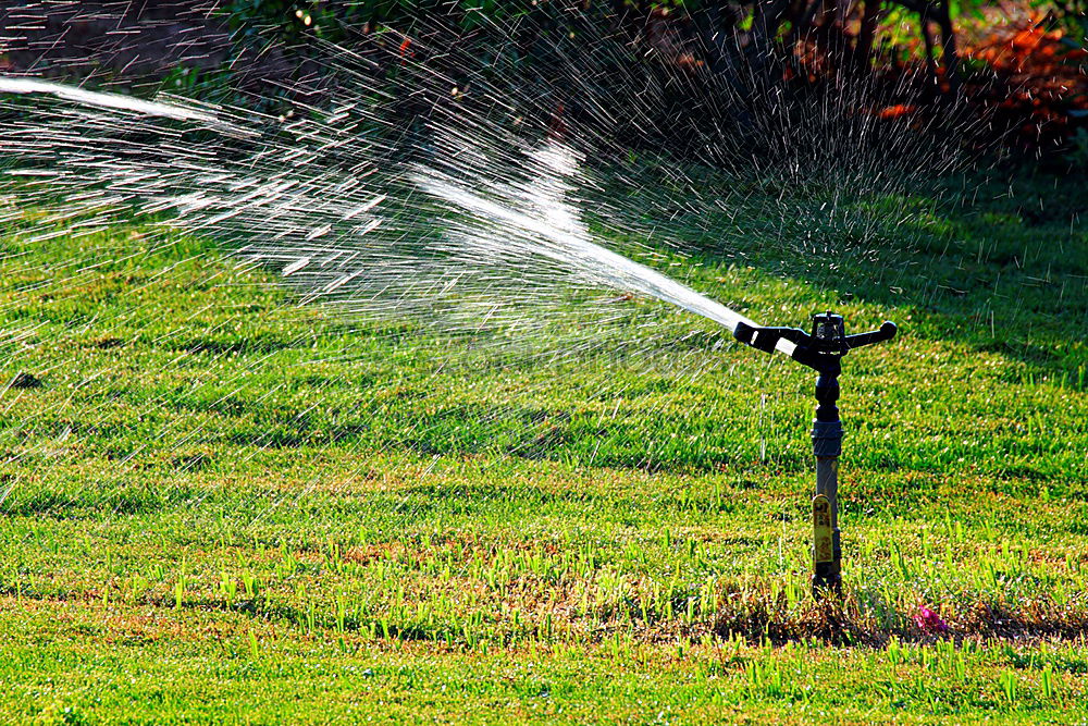 Similar – Image, Stock Photo The garden season has begun