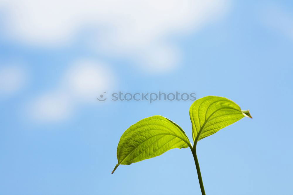 Similar – Foto Bild schönes Wetter Freude