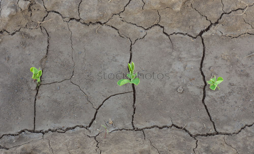 Similar – Image, Stock Photo 31 30 29 28 27 26 25 24 23 22