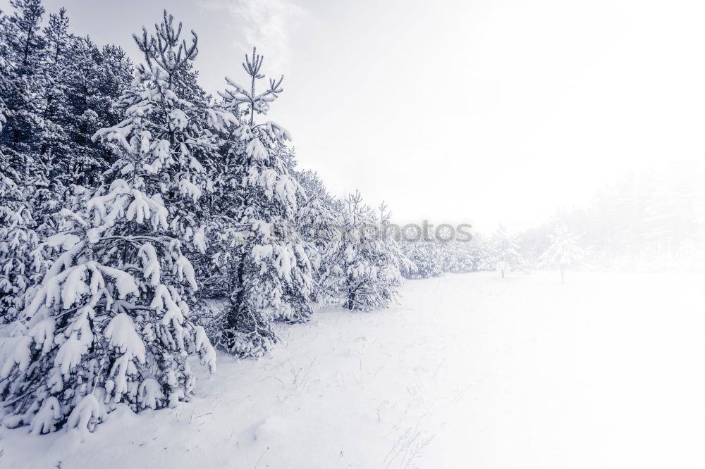 Similar – Image, Stock Photo above the clouds Clouds