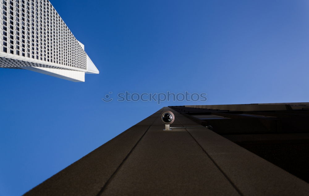 Similar – Image, Stock Photo a bird comes flying Bird