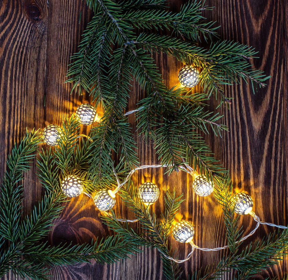 Similar – Image, Stock Photo Christmas fir shape Winter