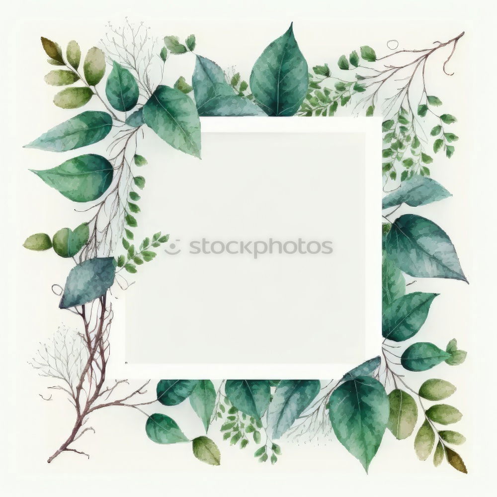 Similar – Watercolor Bohemian golden frame with dried leaves and tropical flowers illustration