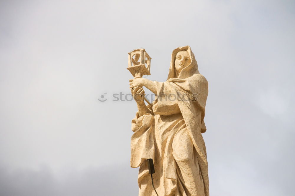 Similar – Image, Stock Photo chief red curl Wood Tree